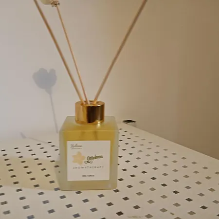 La Casetta Del Maggiore Bed & Breakfast Palermo